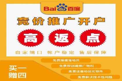 百度竞价推广公司成功经验分享：广告投放的技巧与策略